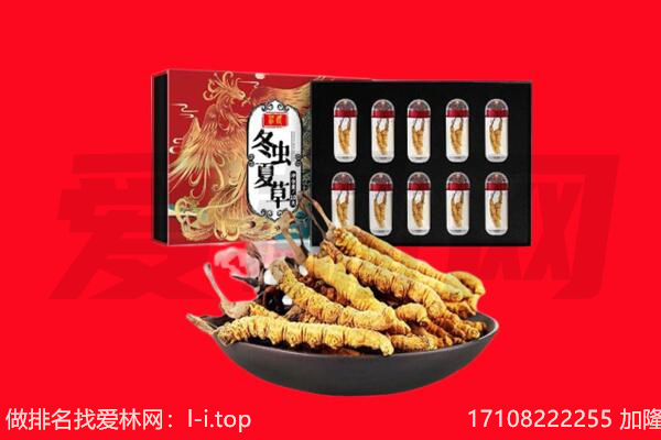 河池凤山县回收虫草.jpg